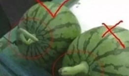 吃瓜网红叫什么名字来着,揭秘“吃瓜网红”背后的故事与影响力